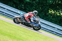 PJ-Motorsport-Photography-2020;anglesey;brands-hatch;cadwell-park;croft;donington-park;enduro-digital-images;event-digital-images;eventdigitalimages;mallory;no-limits;oulton-park;peter-wileman-photography;racing-digital-images;silverstone;snetterton;trackday-digital-images;trackday-photos;vmcc-banbury-run;welsh-2-day-enduro